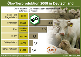 Zum Vergr��ern klicken Sie hier