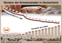 Zum Vergr��ern klicken Sie hier