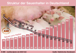 Zum Vergr��ern klicken Sie hier