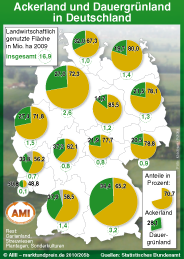 Zum Vergrößern klicken Sie hier