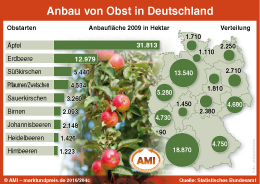 Zum Vergr��ern klicken Sie hier