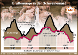 Zum Vergr��ern klicken Sie hier