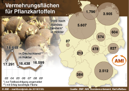 Zum Vergr��ern klicken Sie hier