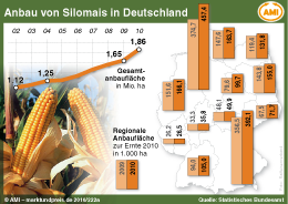 Zum Vergrößern klicken Sie hier