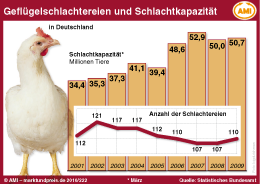 AMI Infografik
