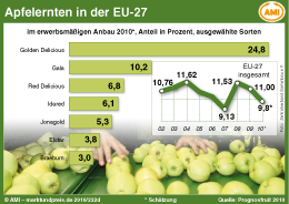 AMI Infografik