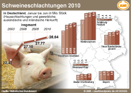 AMI Infografik