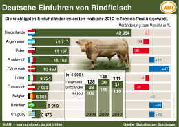 AMI Infografik