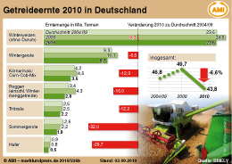 AMI Infografik